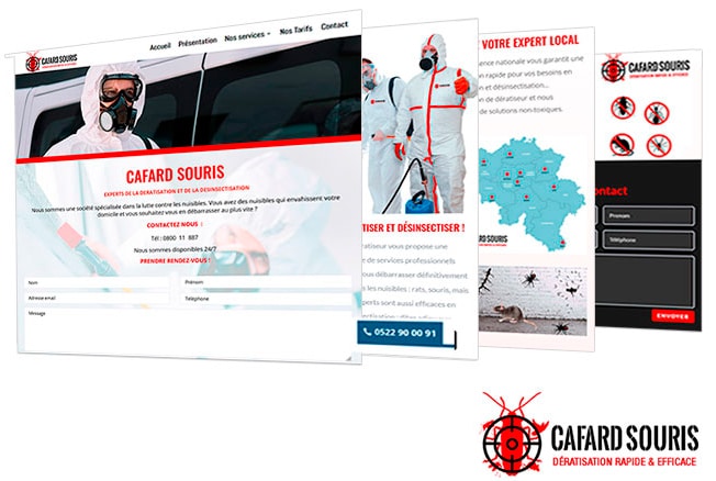 cafards-souris-belgique-creationsitewebcasablanca